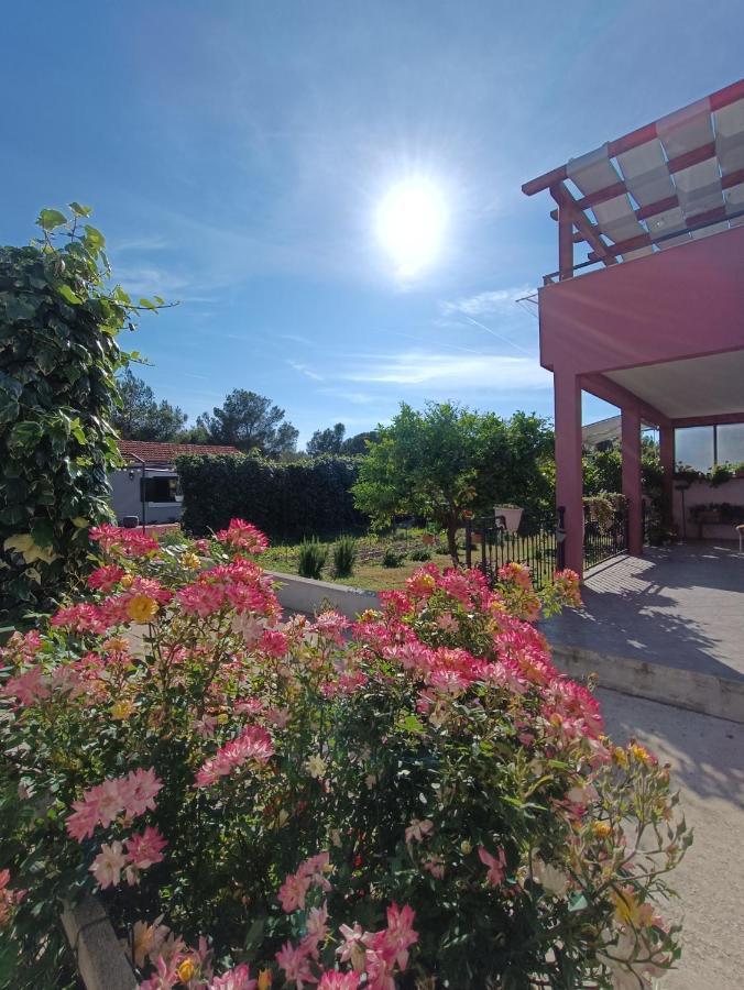 Apartman Brigita Biograd Na Moru Exterior foto