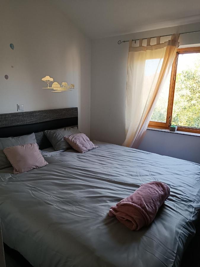 Apartman Brigita Biograd Na Moru Exterior foto